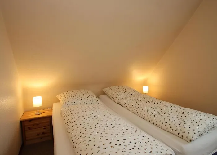 Hoddersdiek, * 布尔哈沃